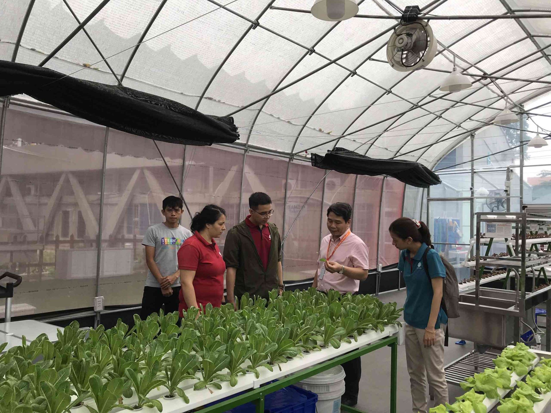 Hình 12: STEM Vinaponics - nơi sản xuất các loại cây trồng sạch 