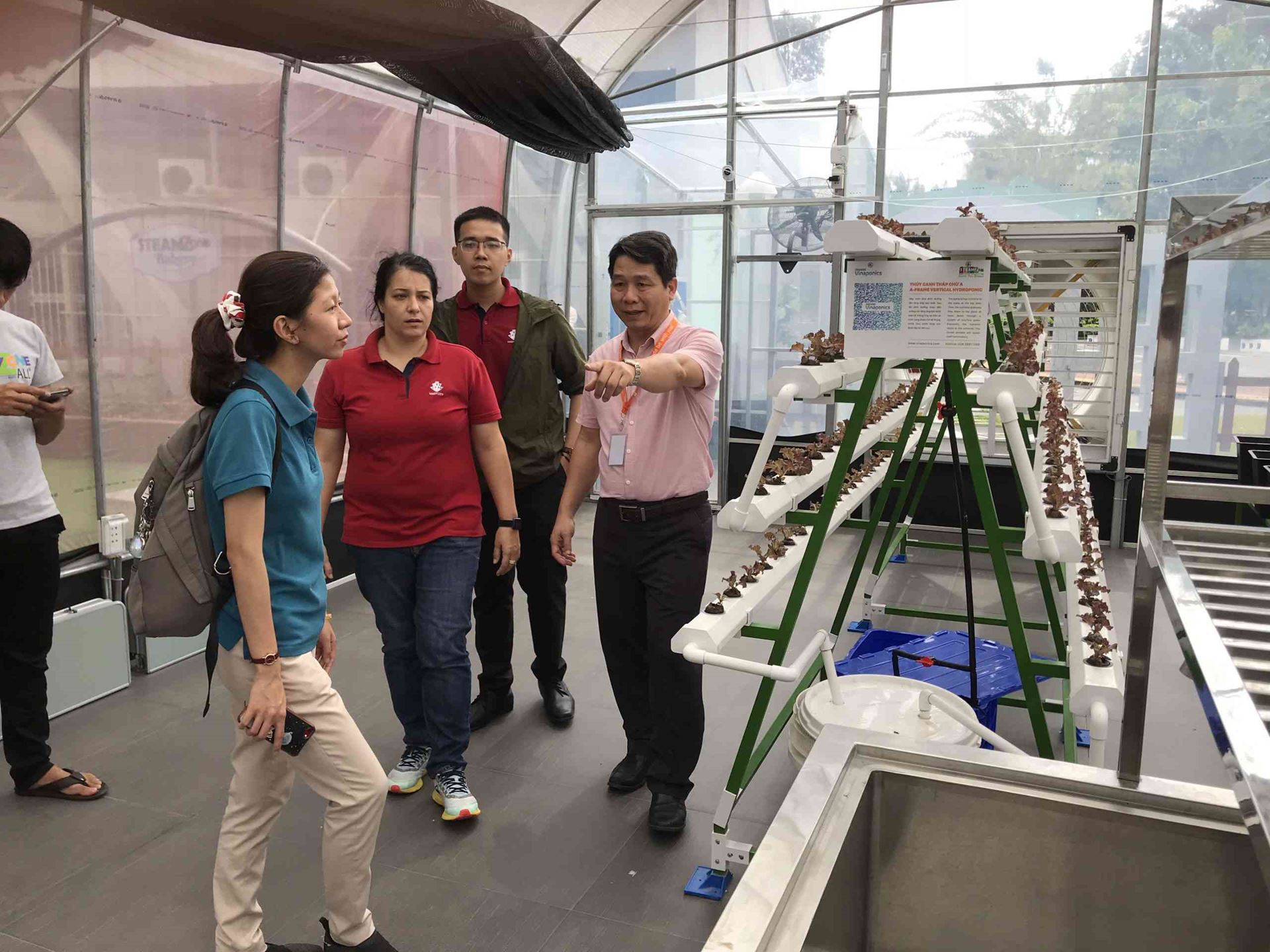 Hình 11: Mô hình trồng cây theo phương pháp thủy canh 