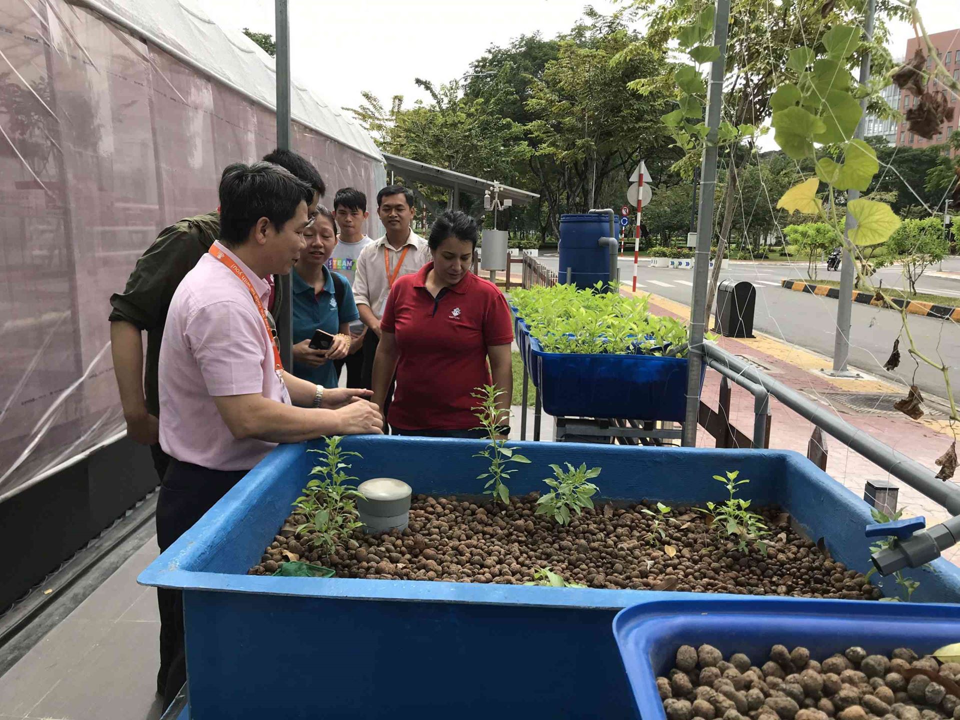 Hình 9: Mô hình Aquaponics - nơi cung cấp toàn bộ nguồn nước cho cây trồng tại trung tâm