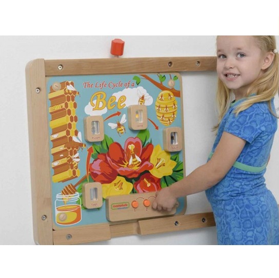 [:VN]Wall Elements - Light-Up Bee Life Cycle Stages Panel[:]