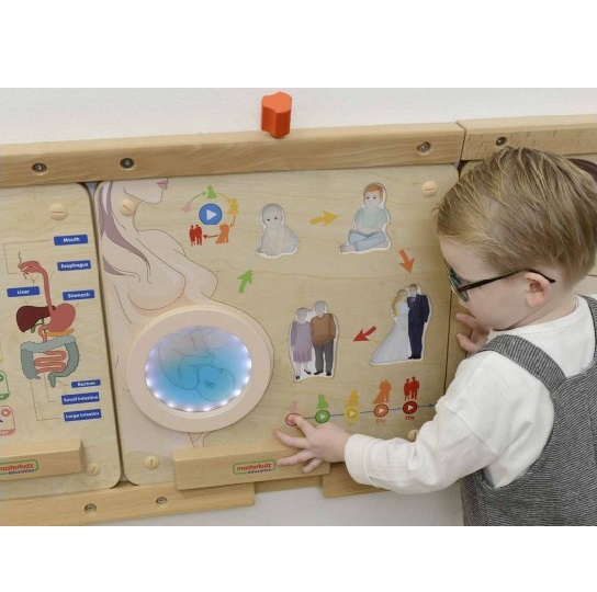 [:VN]Wall Element - Life Cycle of a Human[:]