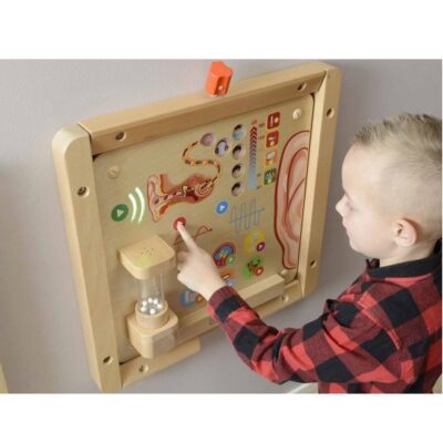 Wall Elements - Sense of Hearing