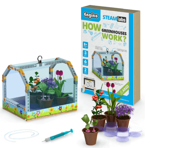 Bộ STEM Lĩnh Vực Vật Lí