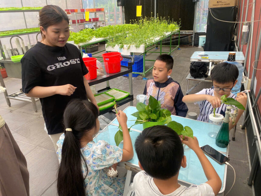Bé Khám Phá Mô Hình Aquaponics Kit – Trải Nghiệm Thực Tế Hệ Sinh Thái Bé Khám Phá Mô Hình Aquaponics Kit – Trải Nghiệm Thực Tế Hệ Sinh Thái