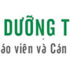 Phần mềm hướng dẫn giáo viên