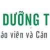 Phần mềm hướng dẫn giáo viên về phương thức giáo dục STEM hỗ trợ dạy học phát triển phẩm chất năng lực trẻ. Tài khoản 3 năm